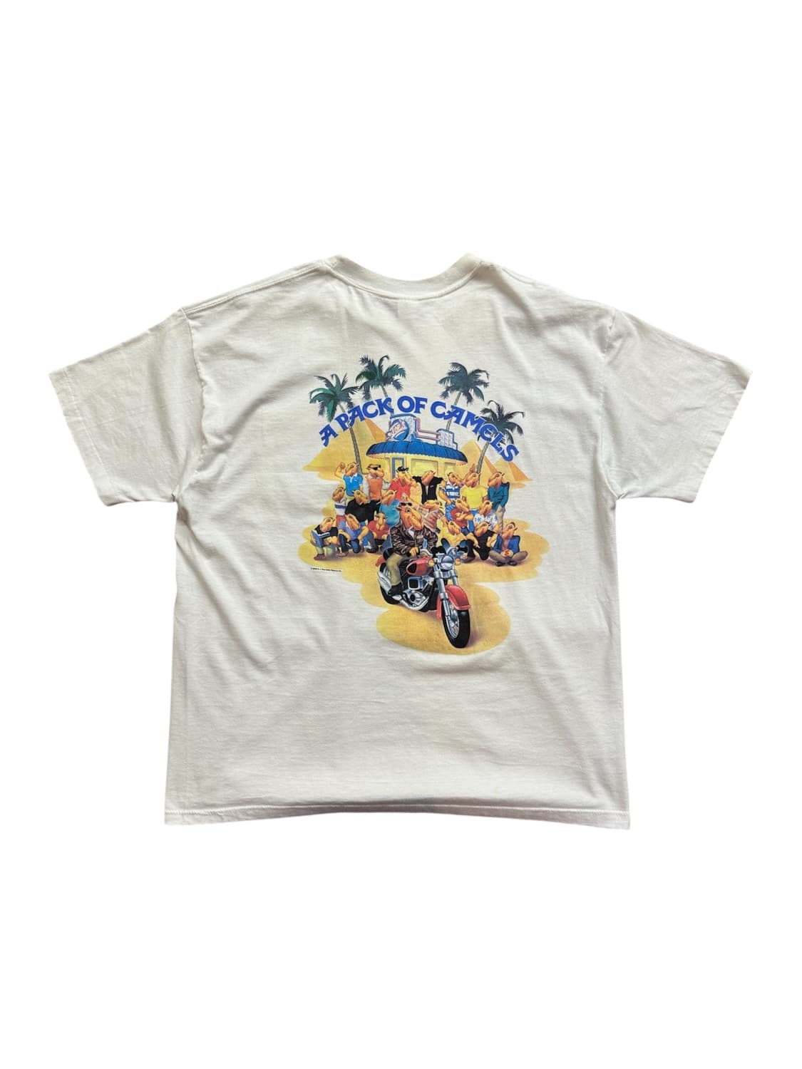 90s CAMEL (a pack of camels) 상품이미지1