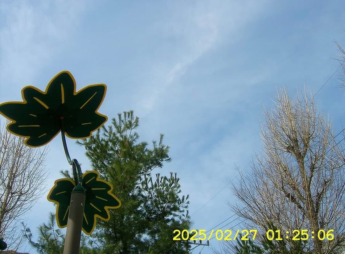 삼성케녹스a5디카 상품이미지8