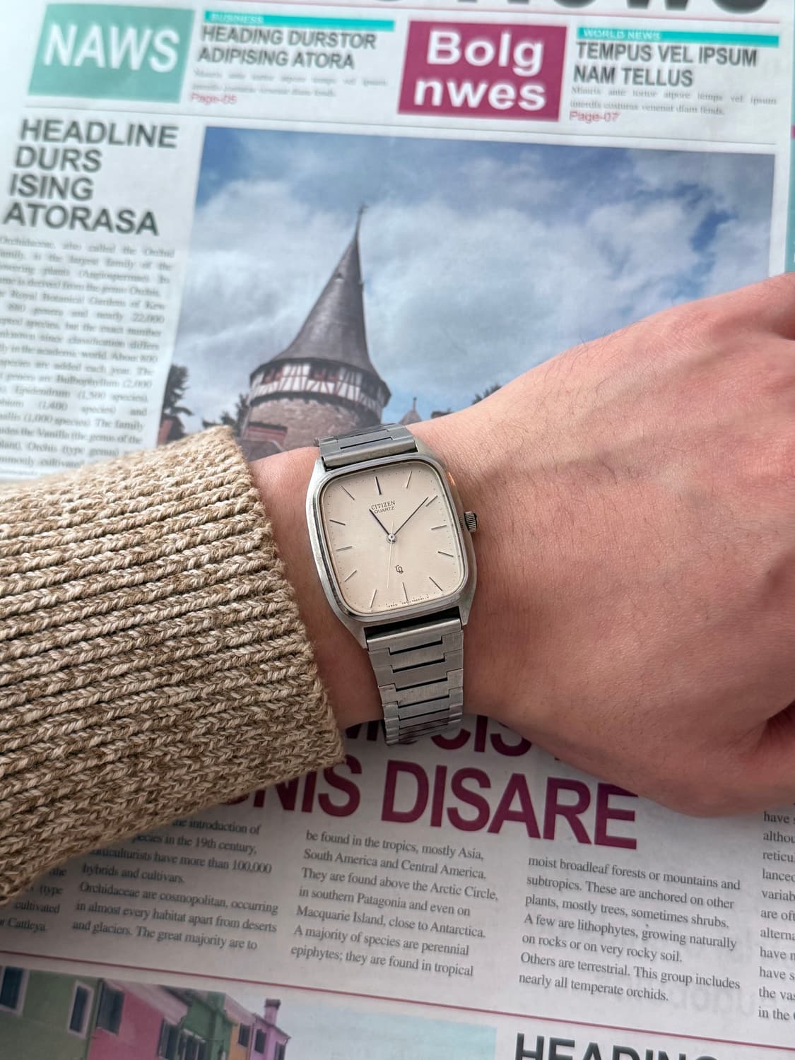 Citizen 시티즌 쿼츠 TV 케이스 CQ 상품이미지5