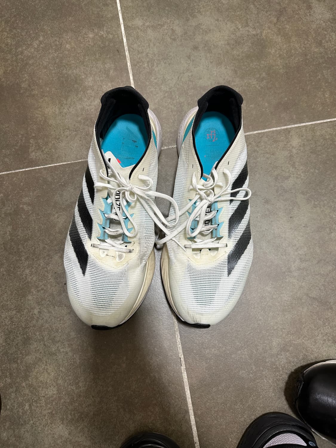 아디다스 아디제로 보스턴 12 275 상품이미지2