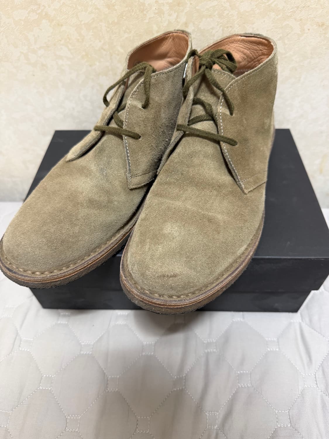 아스토플렉스 그린플렉스 43판매 상품이미지1