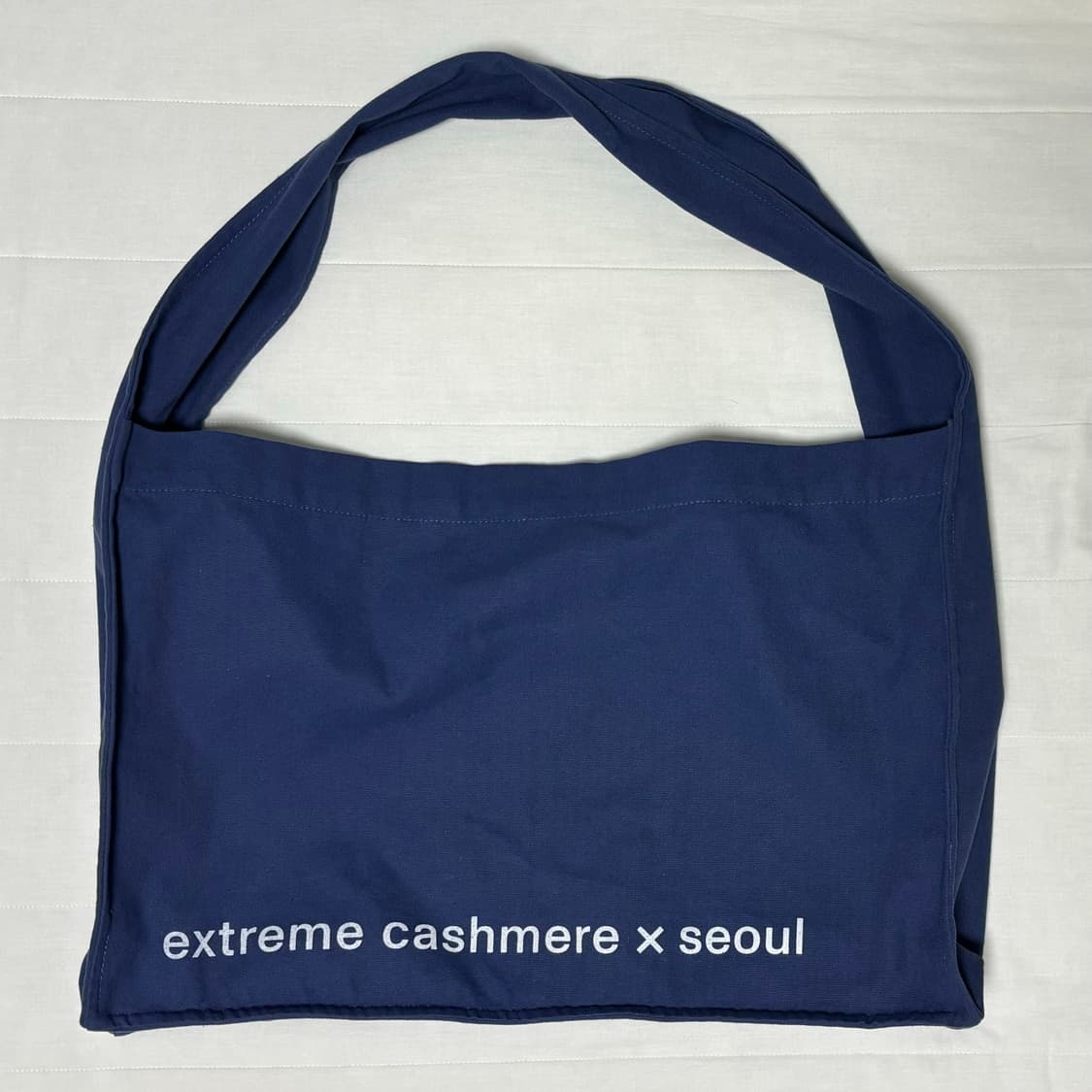 Extreme cashmere 익스트림캐시미어 팝업 에코백 블루 상품이미지2