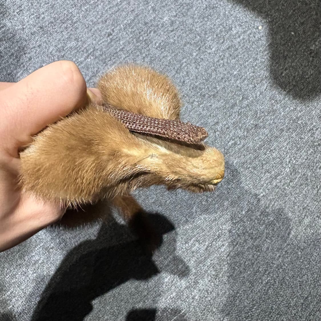 빈티지 족제비 모피 가죽 목도리 상품이미지4