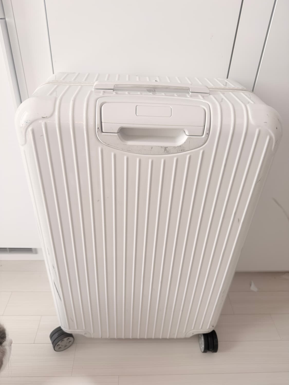 리모와 체크인 라지 화이트 상품이미지8