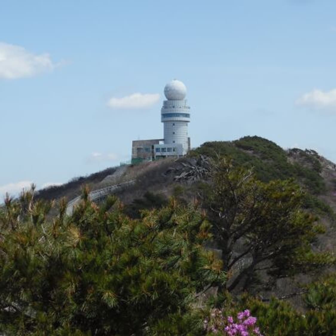 삼성 wb35f 디카 (빈티지 카메라) 상품이미지8