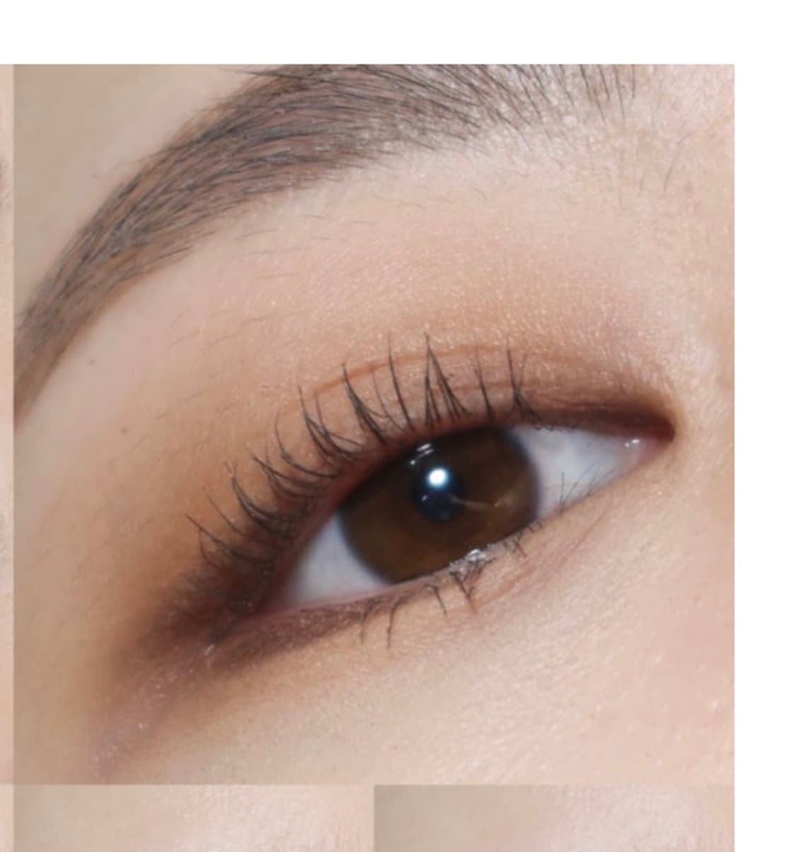 네이키드 리로디드 팔레트 12색 아이섀도우 네이키드1대용품 쉐도우팔렛트 상품이미지4