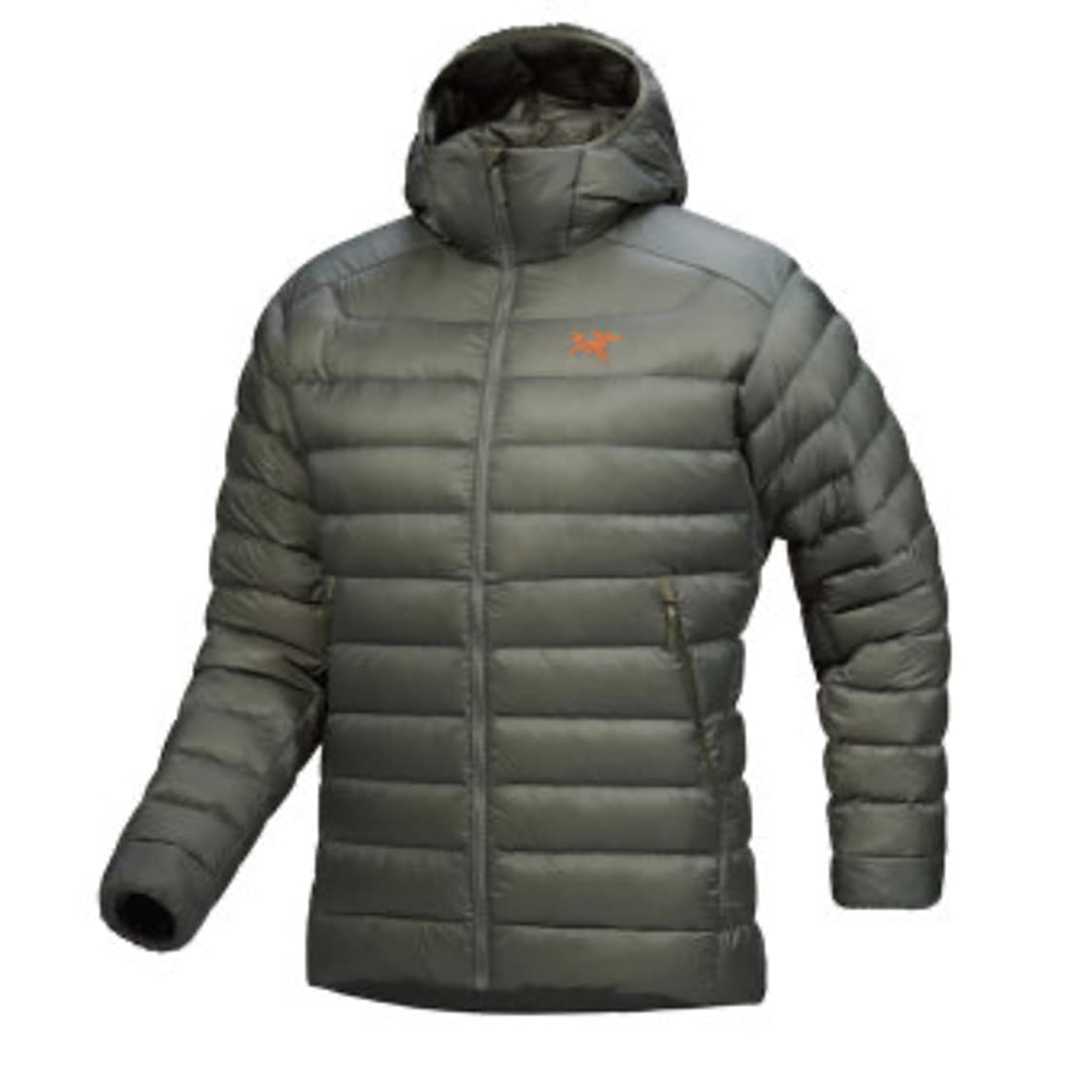 아크테릭스 세륨 포리지 상품이미지1