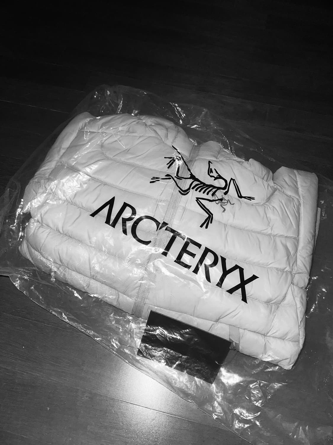 아크테릭스 세륨 후디 해비타트 상품이미지1