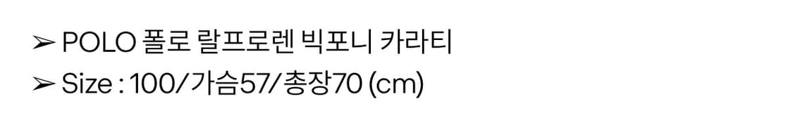 빅폴로 카라티 상품이미지2
