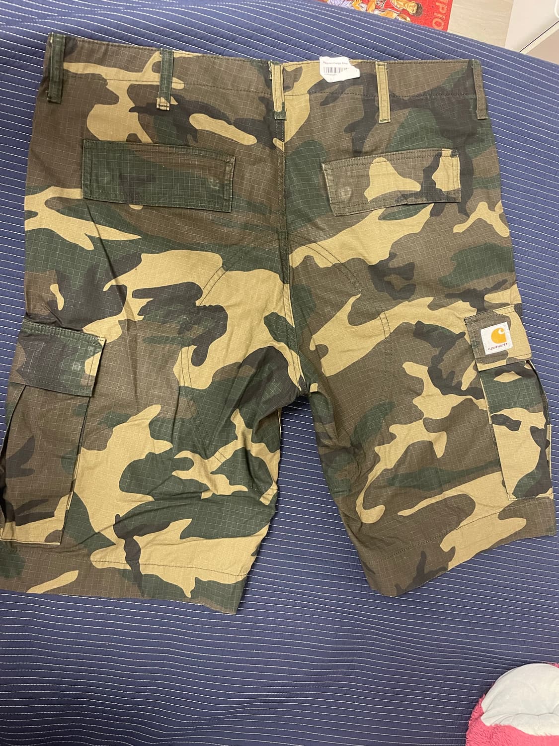 칼하트 콜롬비아 카고 쇼츠 상품이미지2