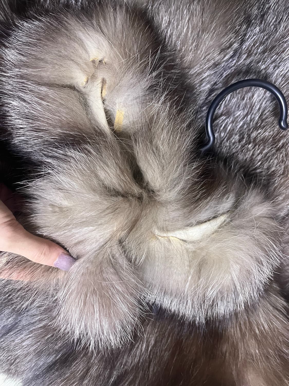 진우모피 사가폭스코트 리얼모피 리폼용 상품이미지5