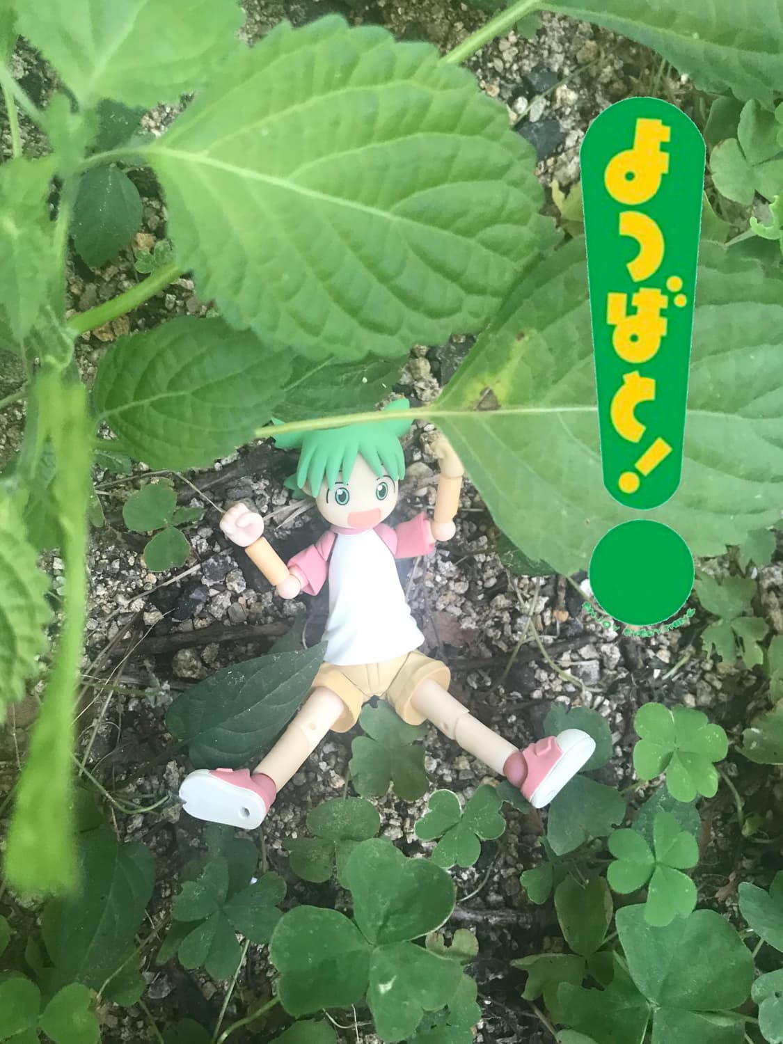 요츠바랑! よつばと！리볼텍 피규어 상품이미지6