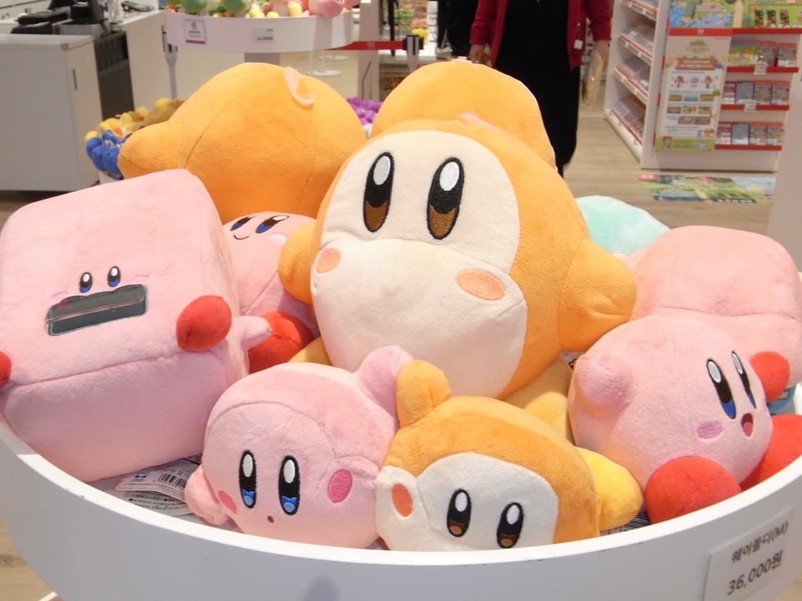 Ricoh Caplio R10 / 리코 카플리오 R10 디키 상품이미지4