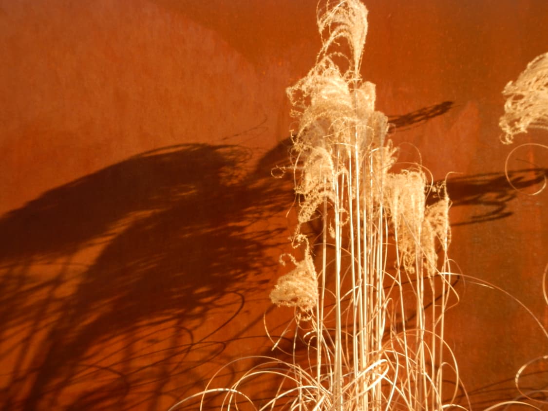 nikon coolpix aw100 (LCD하자) 상품이미지9