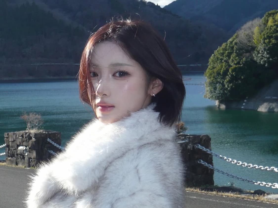 퍼플키스 유키 디카  파나소닉 루믹스 Lumix FX33   상품이미지3