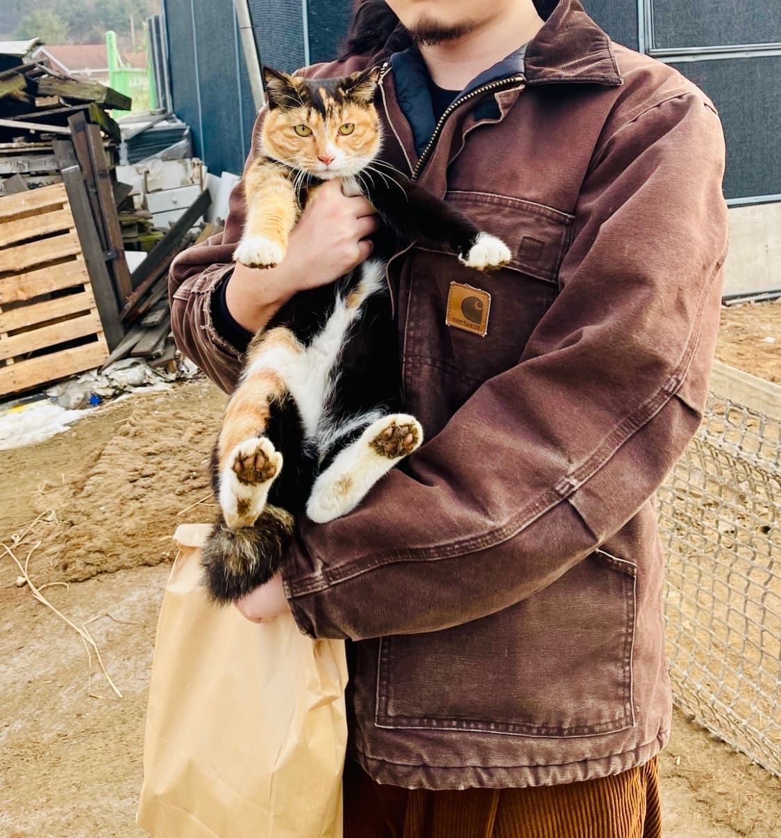 칼하트 트래디셔널 코트  C26 DKB 상품이미지6