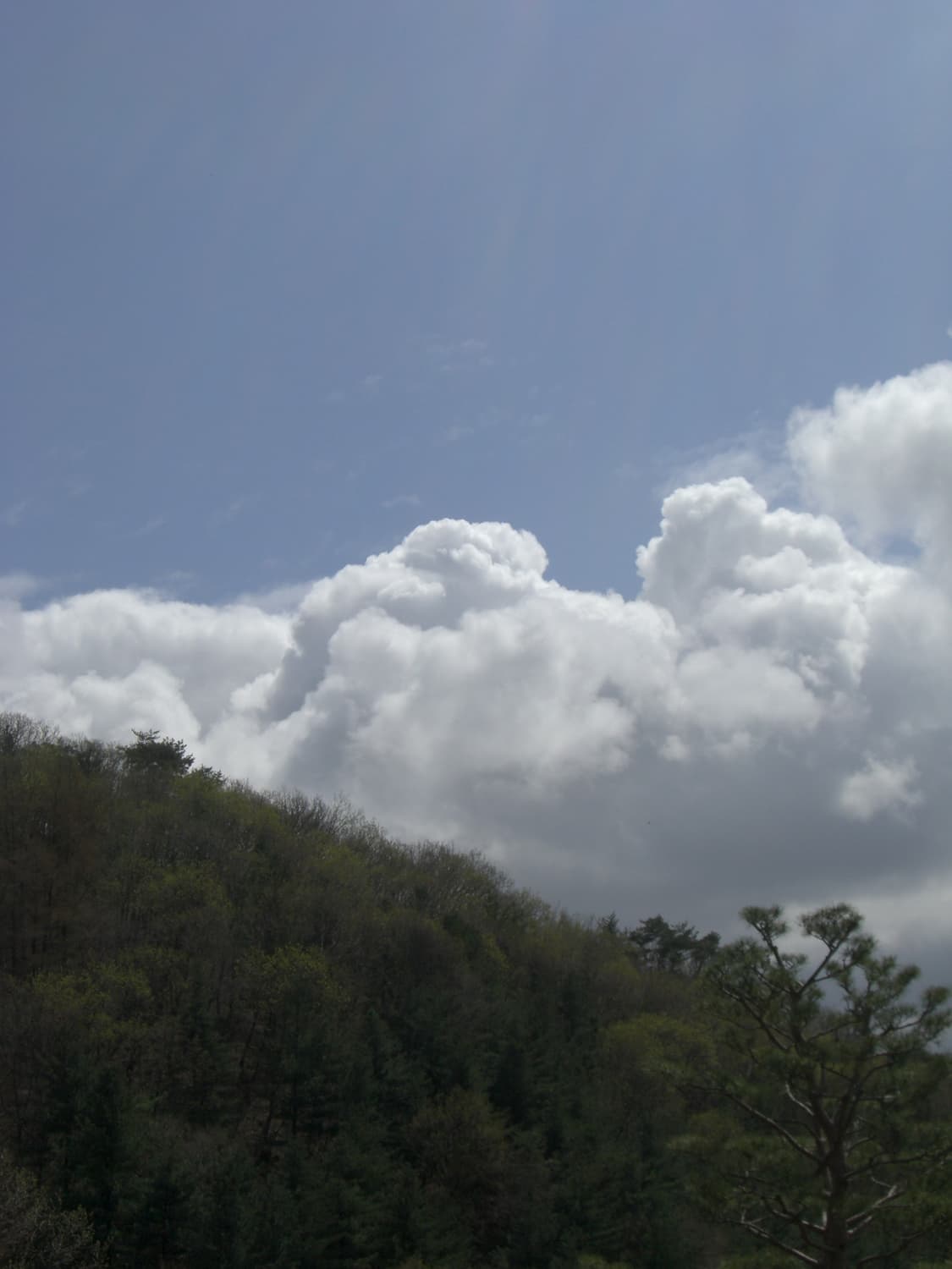 [주인장 픽,,✨️]CASIO EXILIM EX-Z700 상품이미지7