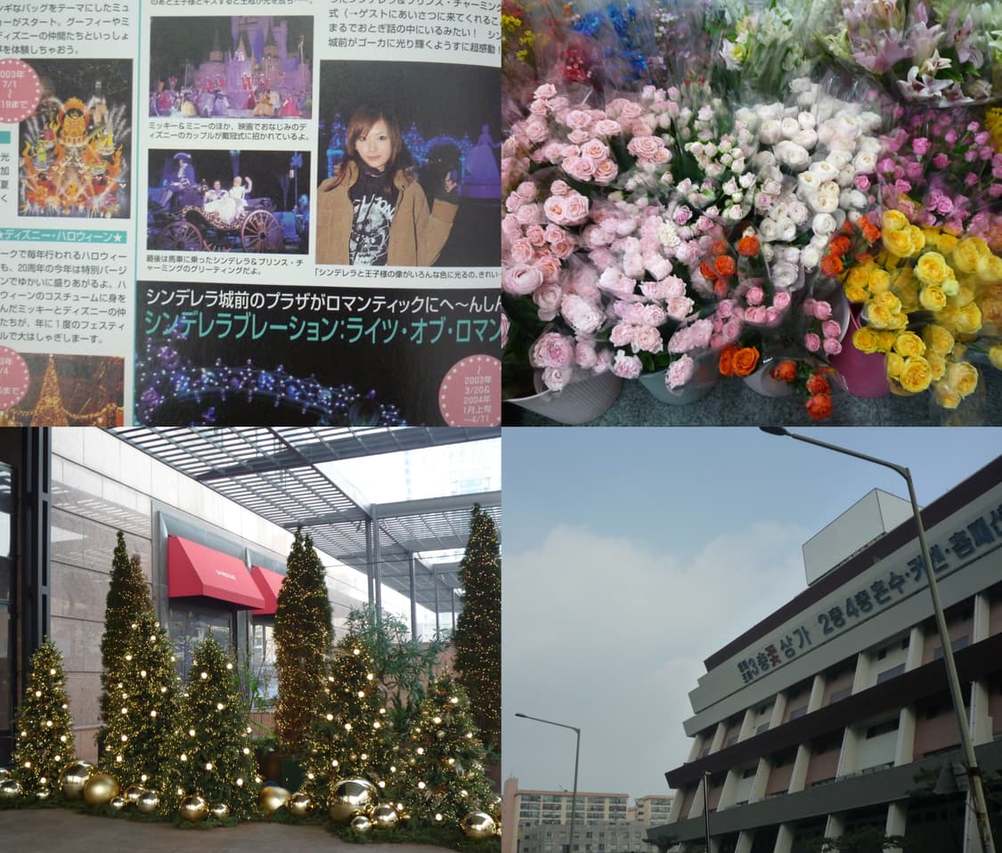 핑크케이스포함✨파나소닉 루믹스 panasonic DMC-FX37 핑크 상품이미지10