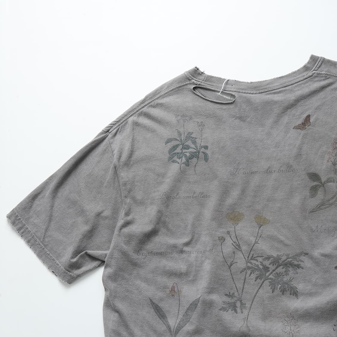 안셀름 ANCELLM Botanical T-shirt 상품이미지10