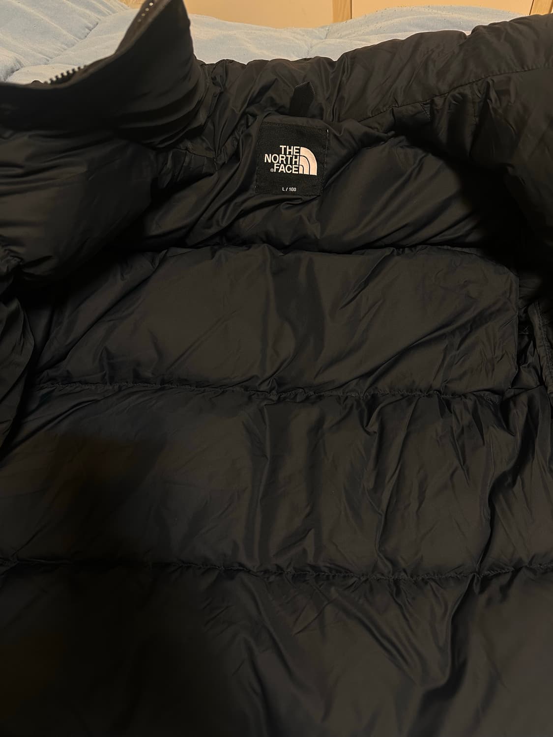 노스페이스 1996 에코 눕시 L 상품이미지2