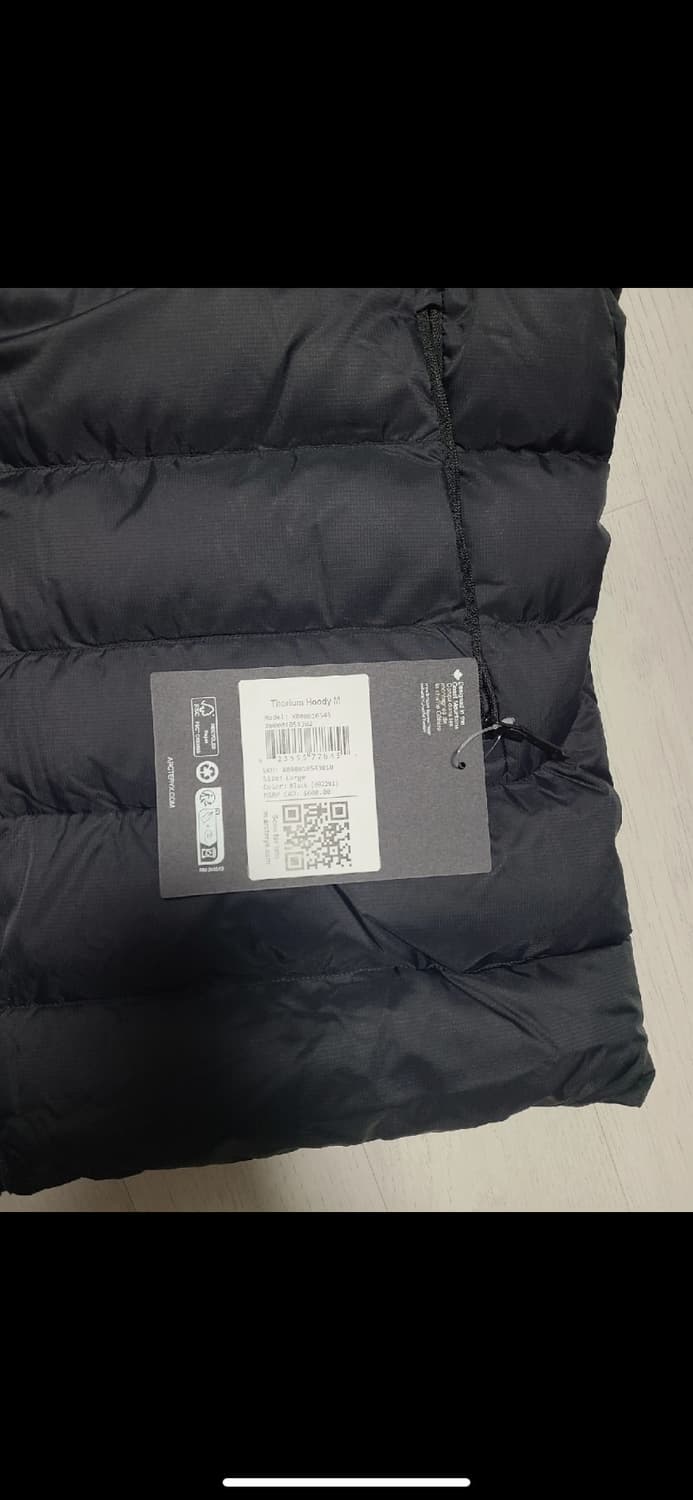 아크테릭스 토륨 후디L 상품이미지3