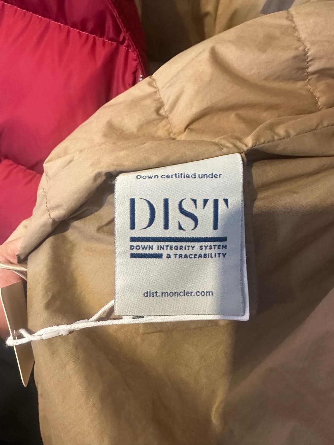 몽클레어 x 팜엔젤스 파나민트(Panamint) 쇼트 다운 패딩 상품이미지5