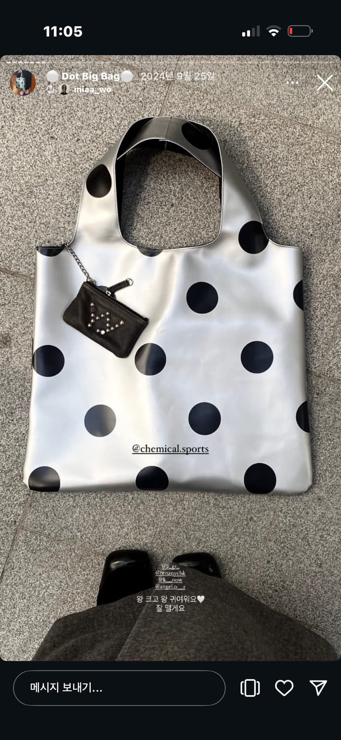 케미컬스포츠 도트백 상품이미지1