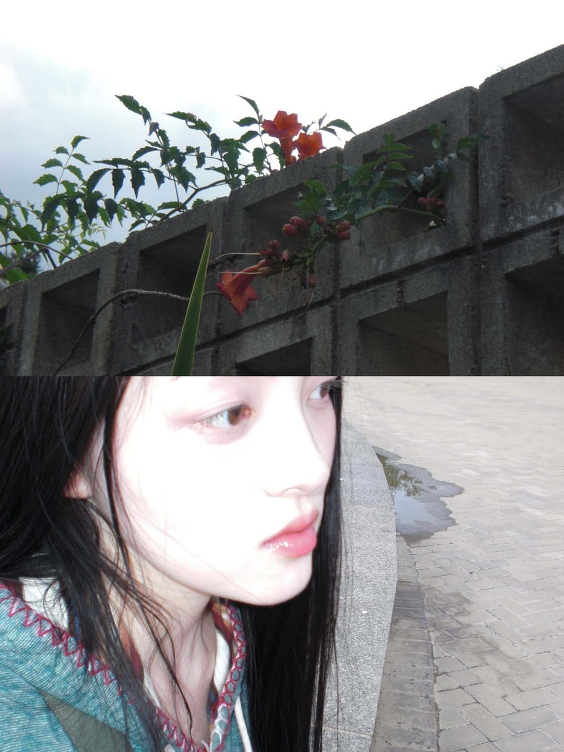 🌺 카시오 엑슬림 EX-Z80 🌺 빈티지 디카 상품이미지5