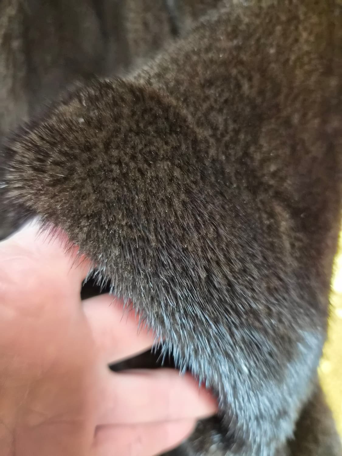 진도  상품이미지3