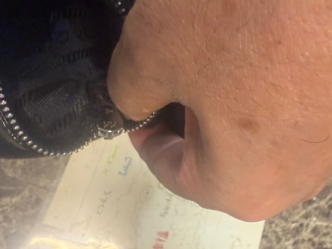 정품 프라다 포코노 숄더백 팝니다 상품이미지10