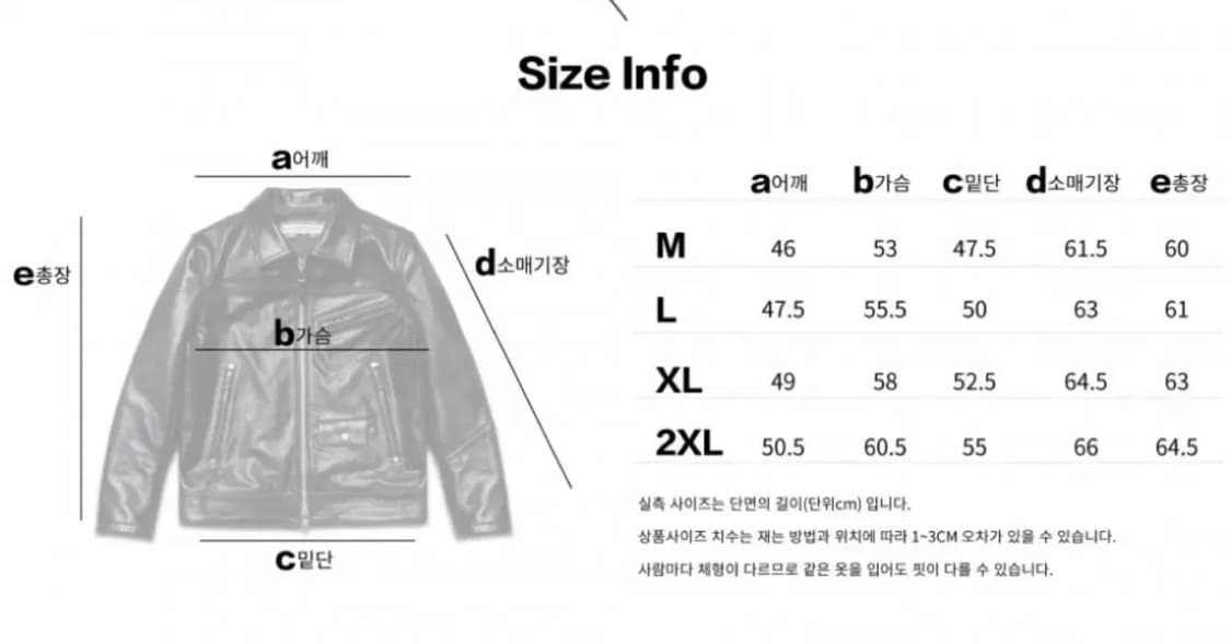 디아프바인 538 로저 (L) 새상품급 상품이미지5