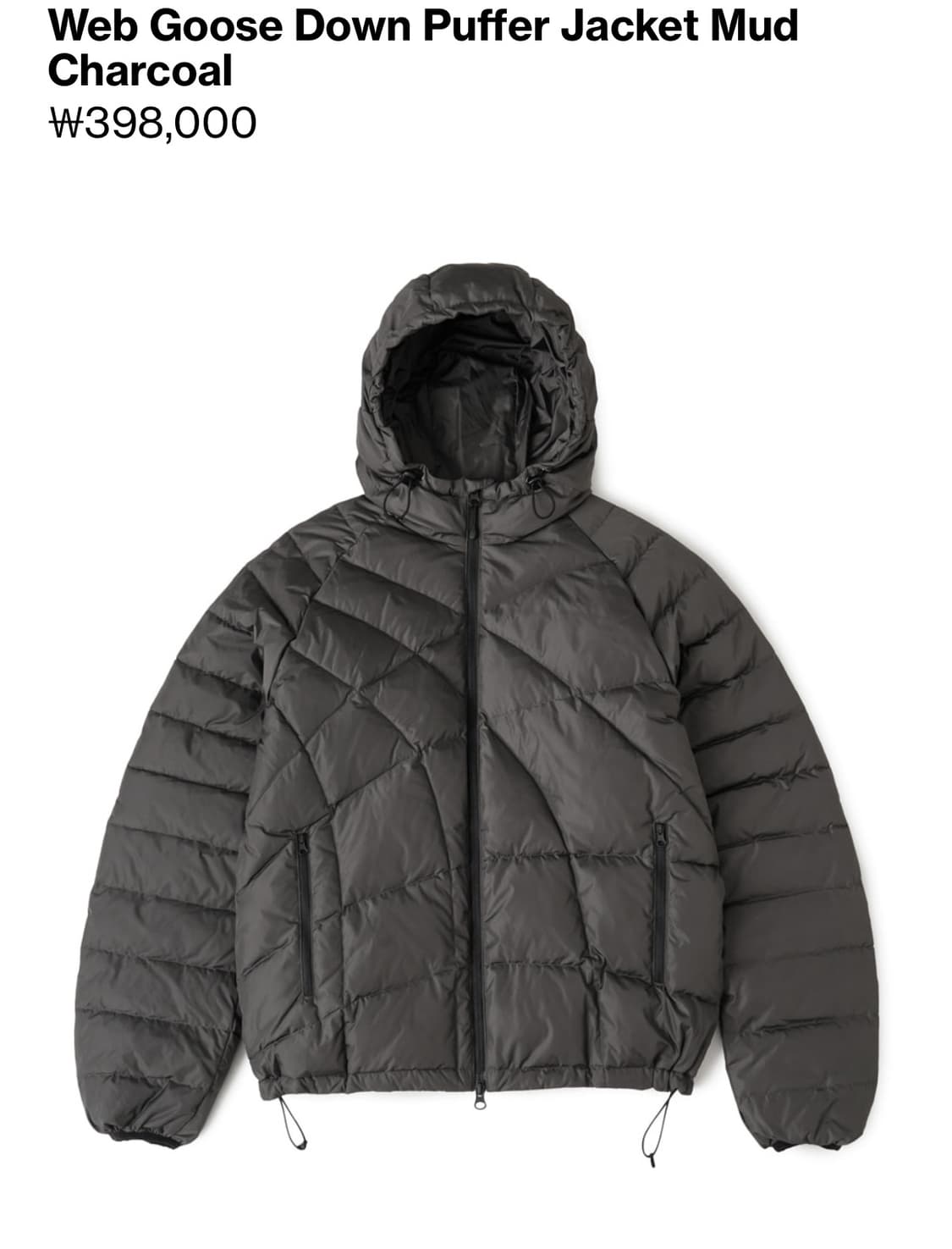 25FW  Web Goose Down Puffer Mud Charcoal 상품이미지1
