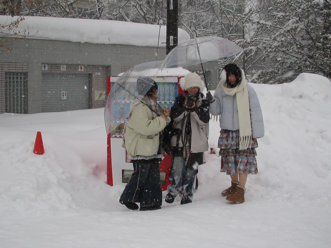 빈티지 디카캐논 ixy L 익시 L 상품이미지3