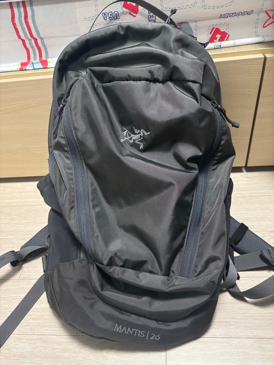 아크테릭스 맨티스 26 파일럿 상품이미지1