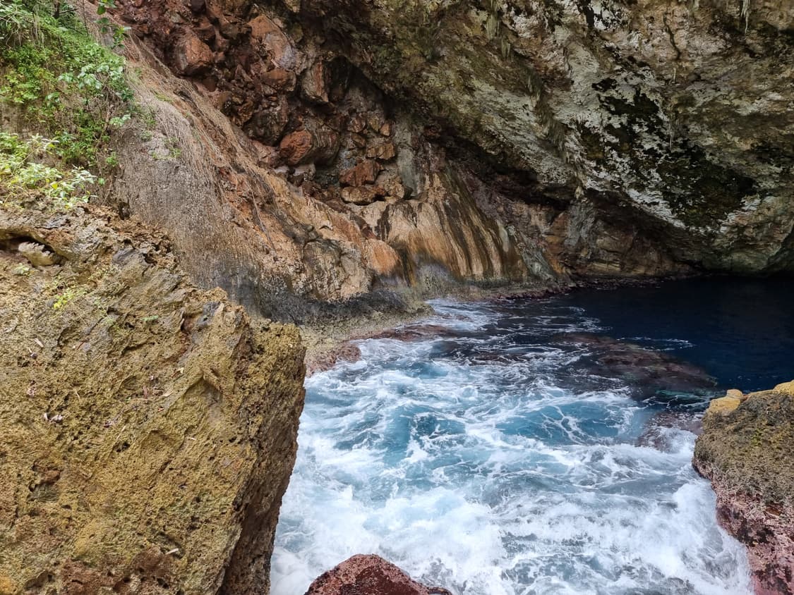 Nikon COOLPIX 2000 (니콘 쿨픽스 2000) 상품이미지8