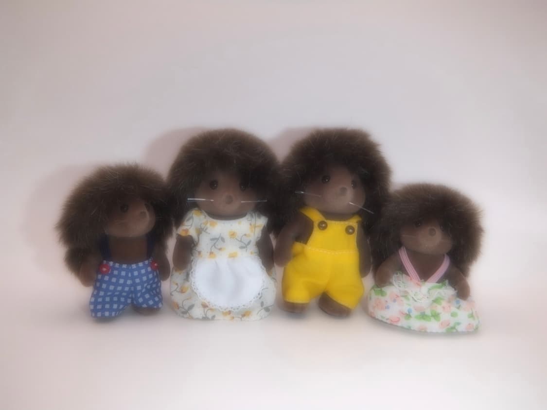 소프트포커스🫧한글디카 🤍 후지필름 파인픽스 Z2000EXR 상품이미지4