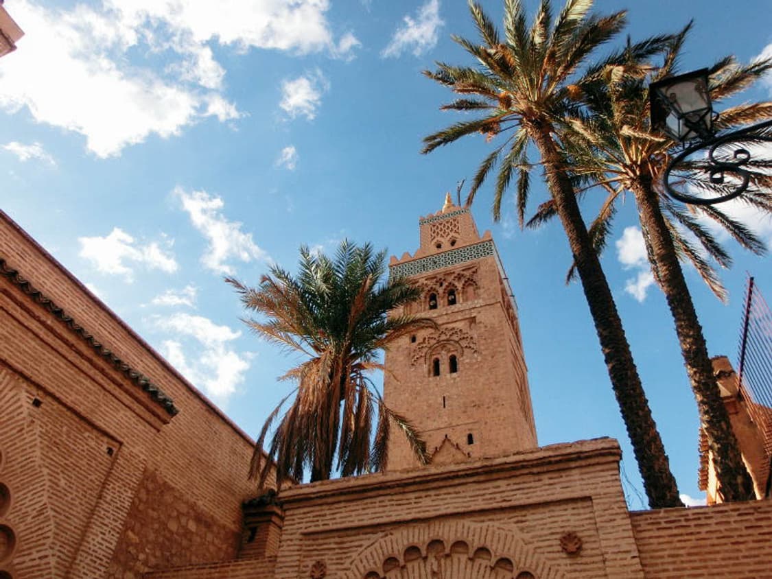 Olympus X-750 (올림푸스 X-750) 상품이미지8