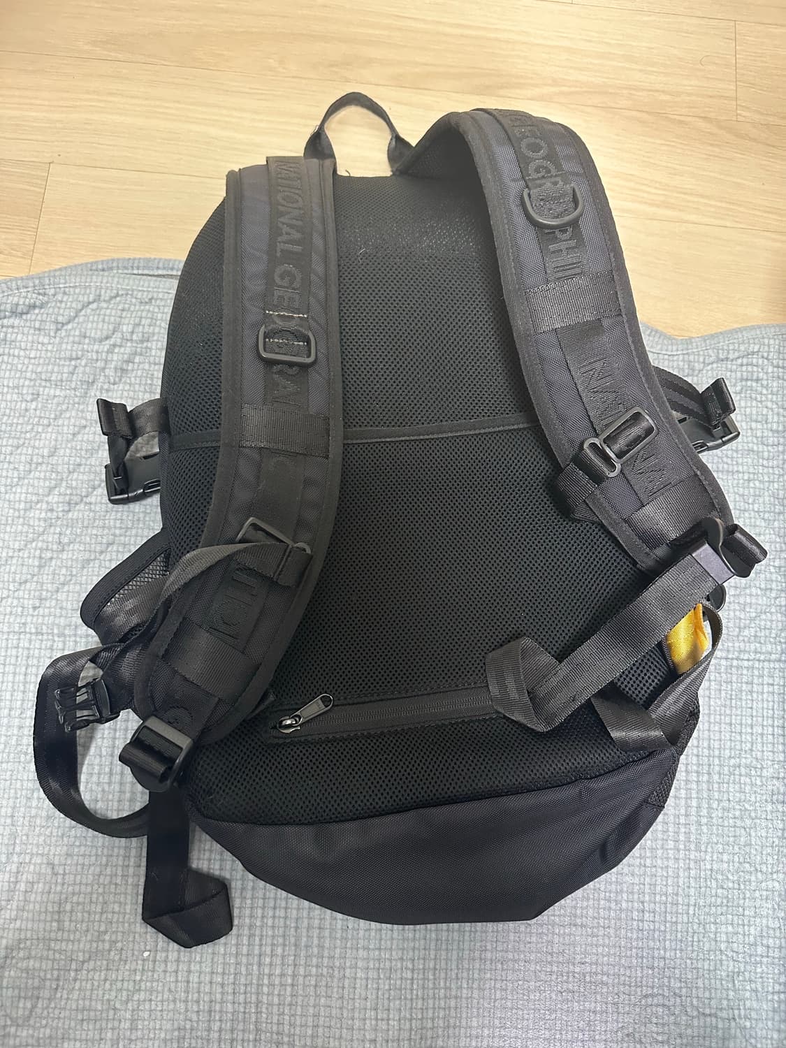 네셔널 지오그래픽 빅로고 백팩 상품이미지2