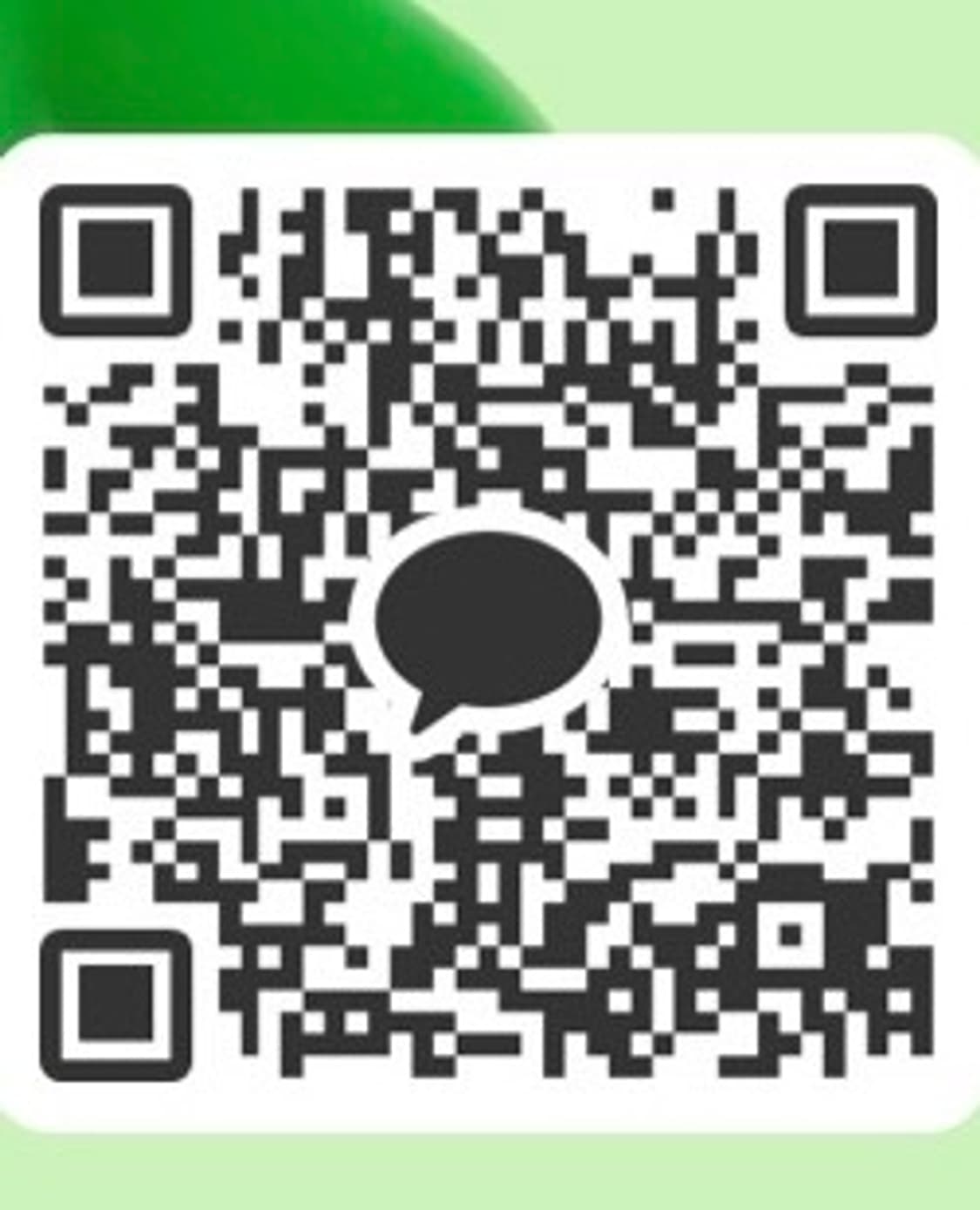코이세이오 상품이미지2