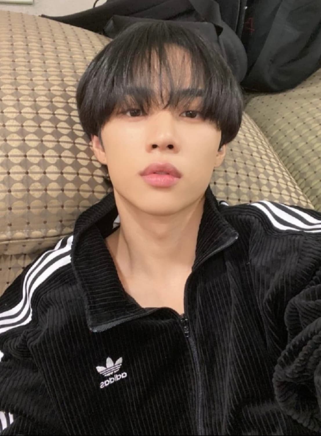 아디다스 코듀로이 져지 파이어버드 삼선 트랙 집업 상품이미지1