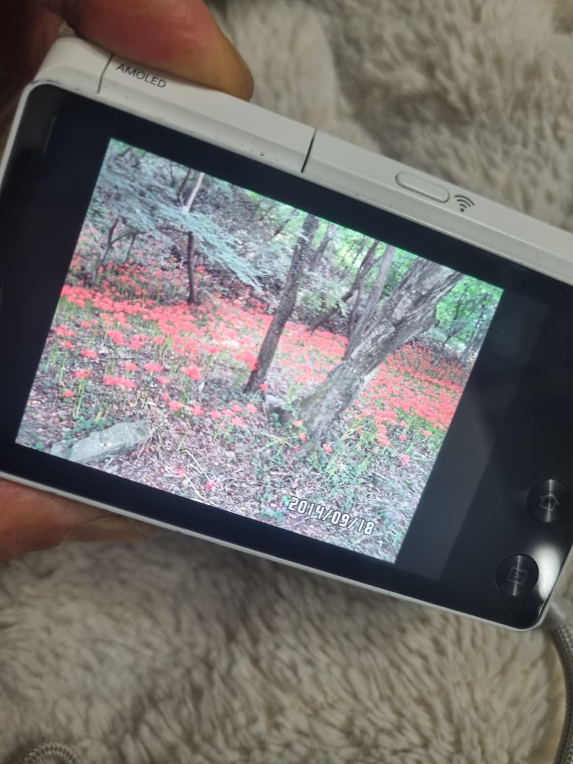 삼성 mv900f 뉴 미러팝  디지털 카메라 뉴진스 디카 상품이미지5