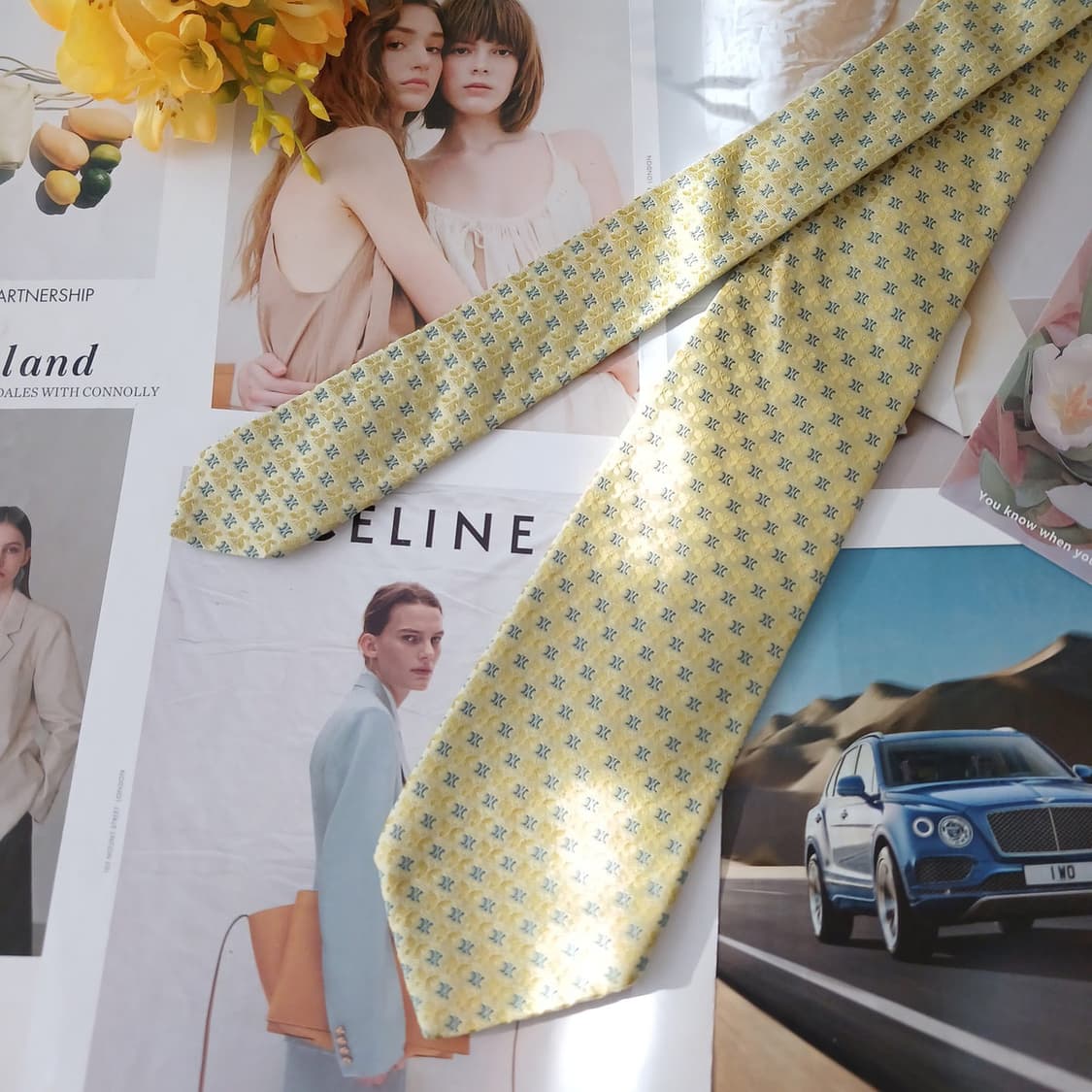 셀린느 실크 로고&나비 자카드 넥타이 9.2cm A+등급 A19030
 상품이미지3