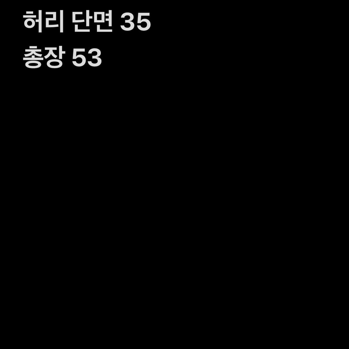 랄프로렌 베이지 스커트  상품이미지9