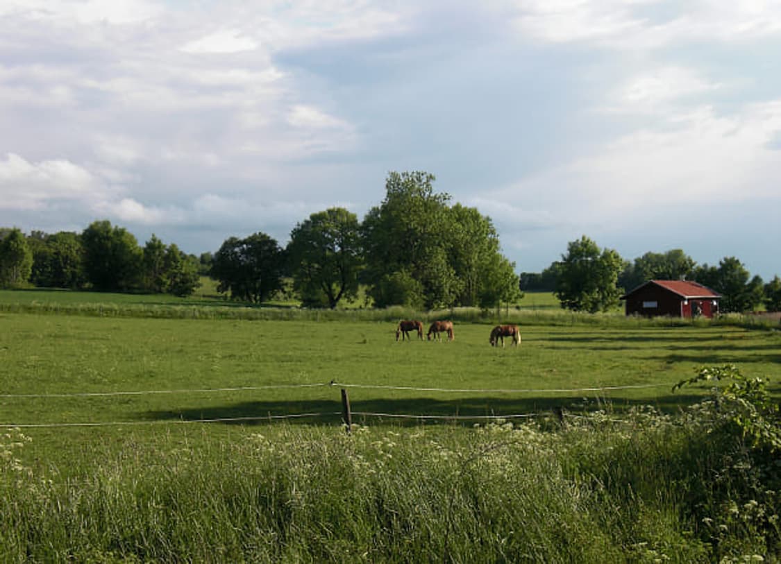 Casio Exilim EX-Z80 카시오 엑슬림 디카 카메라 토모토모 상품이미지10