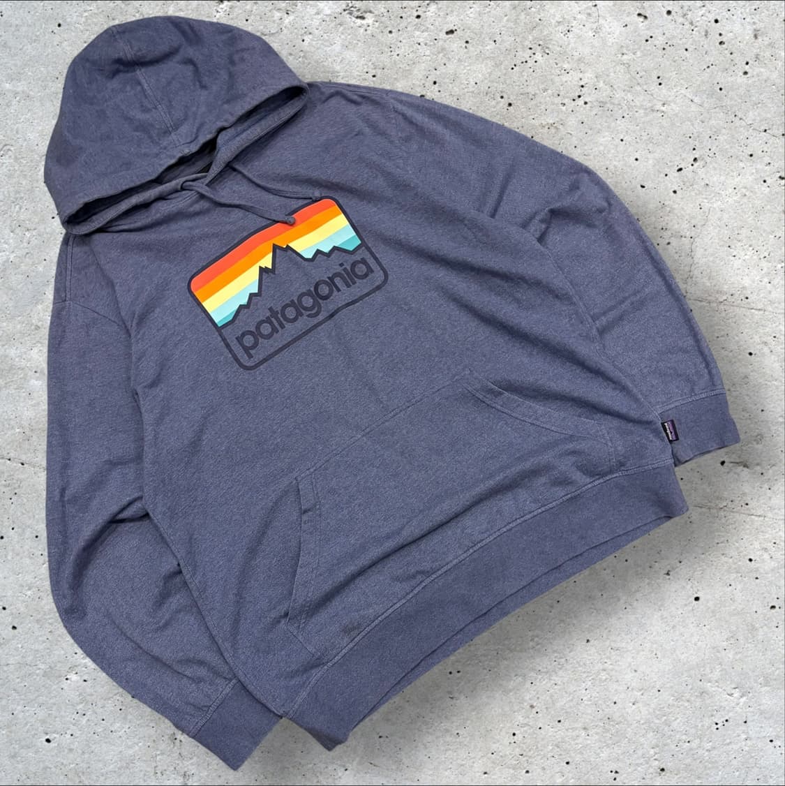 [L] 파타고니아 코튼 로고 후드티 블루 C211 상품이미지1