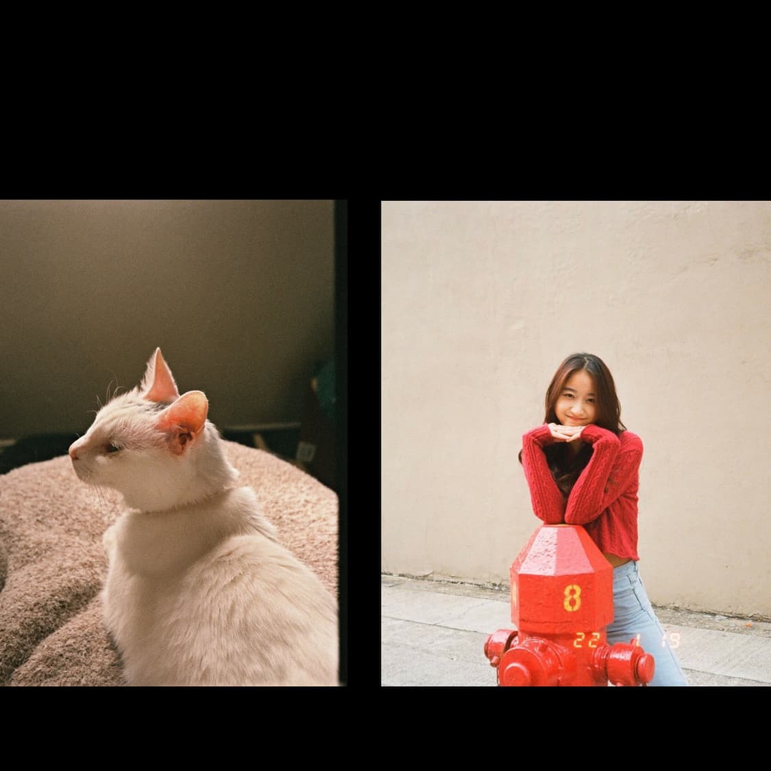 필름카메라 캐논 오토보이텔레6 (작례 0) 상품이미지2