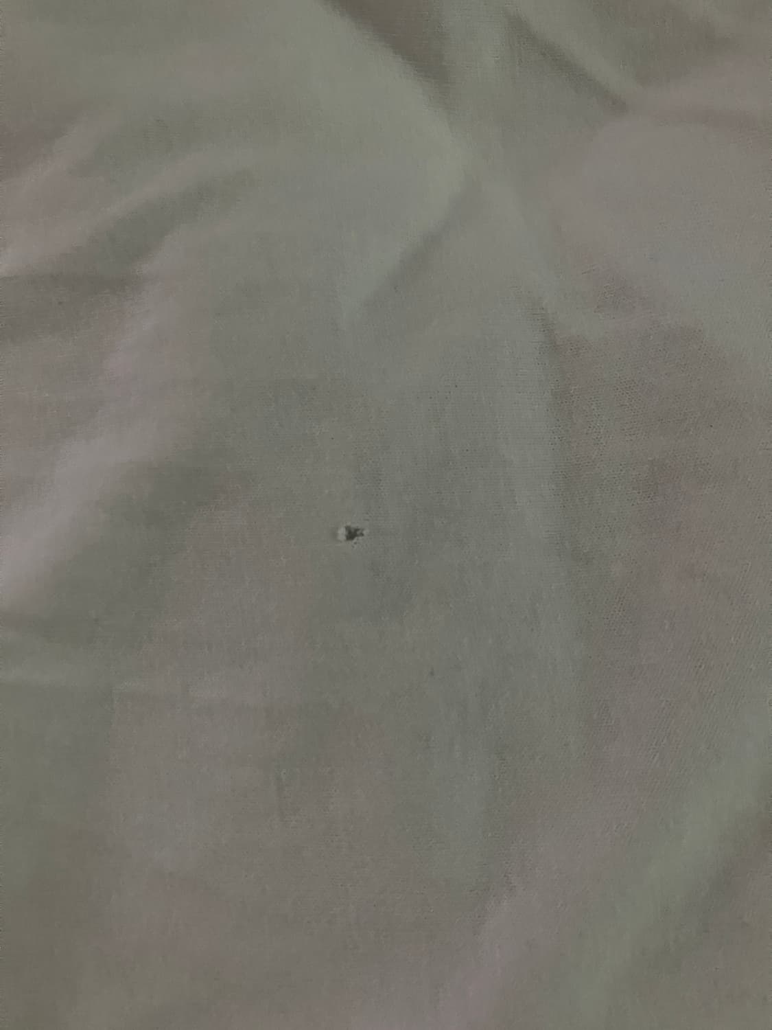 크롬하츠 베이스볼 티셔츠 상품이미지6