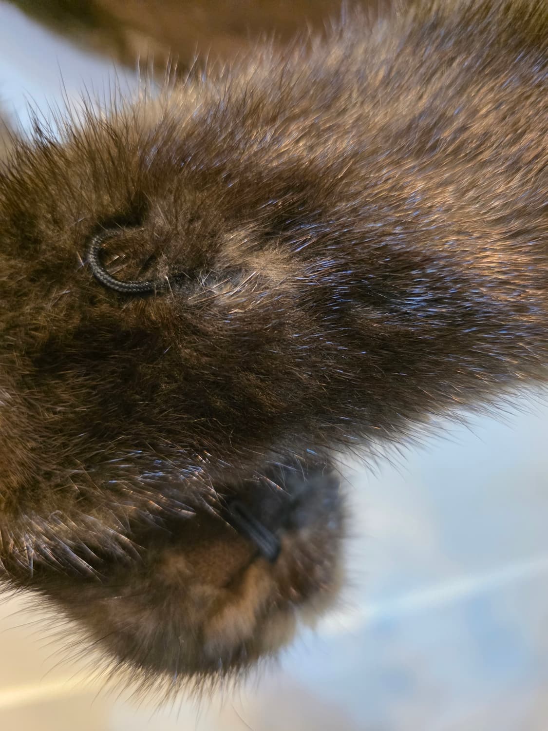 TIME  밍크 퍼 숄 상품이미지5