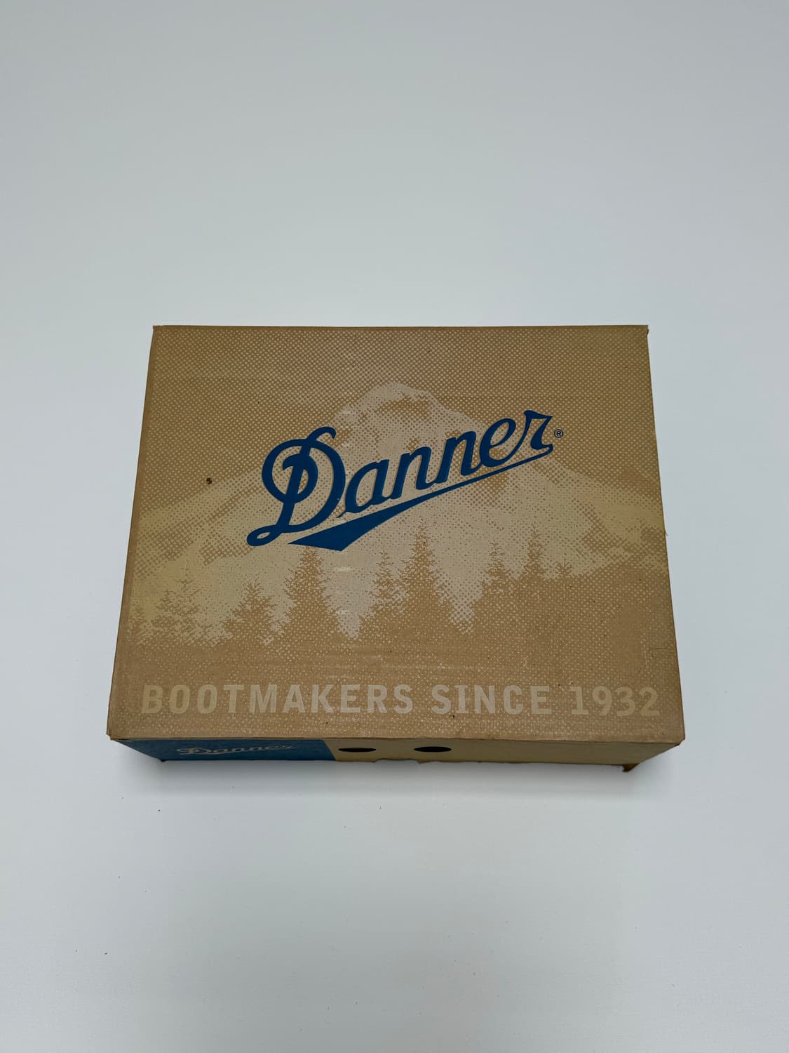 대너 마운틴 라이트 스타크 30812 US 8 하이킹 슈즈 상품이미지10