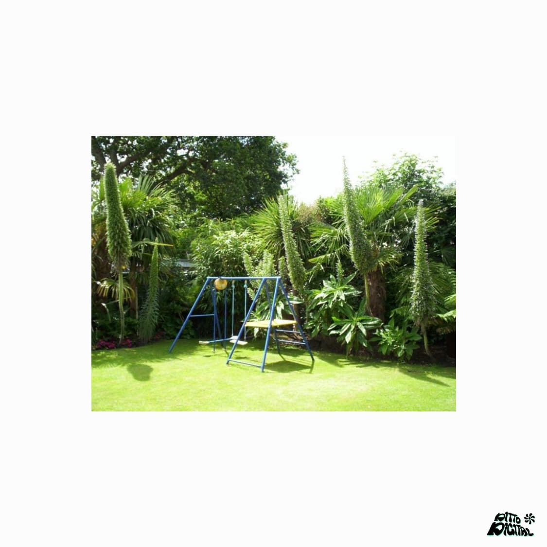 Kodak easyshare cx6230디카 상품이미지7